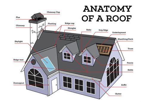 The Anatomy of a Roof Explained - C.D. Roofing & Construction Ltd.