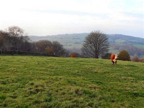 Buying Grazing land For Sale - UK Grazing Land Sale or Rent