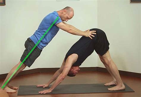 Adjusting Downward Dog - Yoganatomy