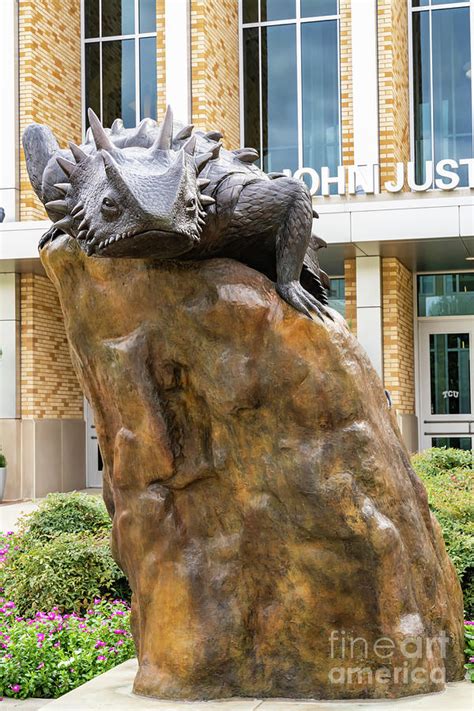 TCU Horned Lizard Mascot Vertical Photograph by Bee Creek Photography - Tod and Cynthia - Pixels