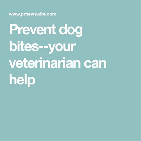 Prevent dog bites--your veterinarian can help | Dog biting ...