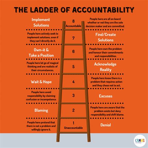 THE LADDER OF ACCOUNTABILITY ? – CAMHS Professionals