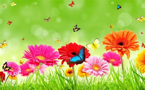 Flower Wallpaper For Desktop We Need Fun