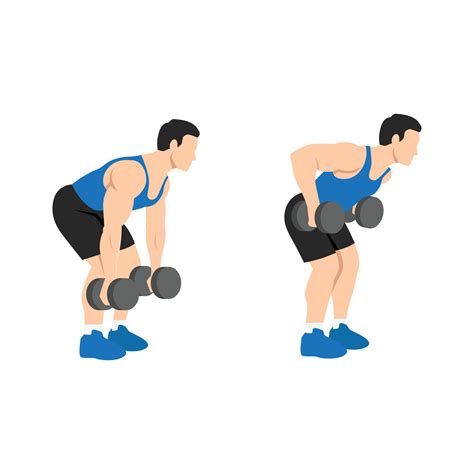 Man doing Dumbbell bent over rows exercise flat vector illustration isolated on white background ...