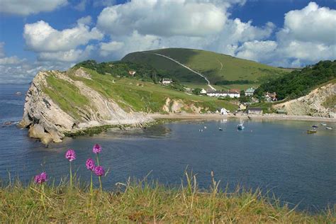 Your Guide to Lulworth Cove and Surrounding Area