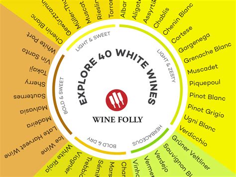 Basic Guide to White Wine | Wine Folly