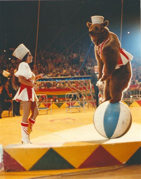 circus?