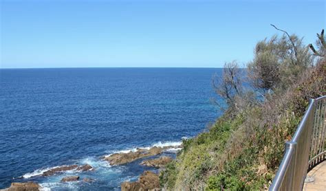 Moruya Head | NSW National Parks