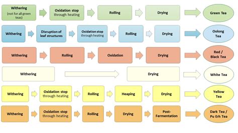 siamteas Lesson 8/2 – (Parameters of) Tea Processing - siamteas