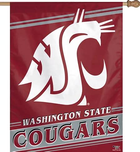 Washington State Cougars Party Supplies - Party City