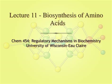 PPT - Lecture 11 - Biosynthesis of Amino Acids PowerPoint Presentation - ID:4353463