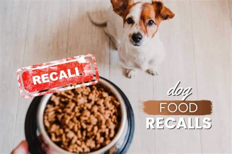 Dog Food Recalls 2023: What Dog Food Is On Recall Right Now? [UPDATED] - Canine Bible