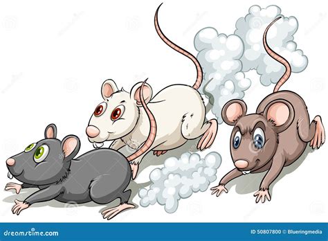 Rat, Rats, Running, Isolated Illustration Royalty-Free Cartoon ...