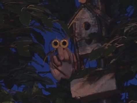 Owl | Oobi Wiki | Fandom