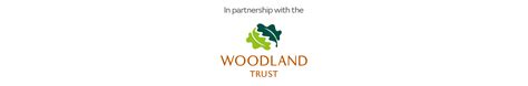 Green Friday: Woodland Trust's Top Tips for an Eco-Friendly Home - Sofological