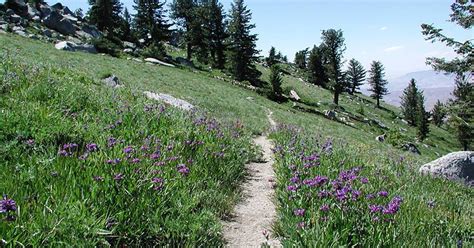 The 6 Best Hikes Near Boise | GearJunkie