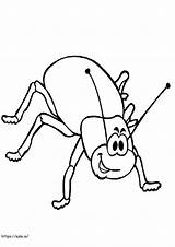 Cartoon Beetle coloring Page sketch template