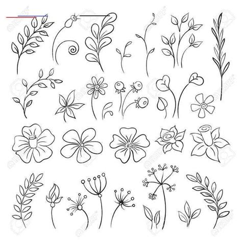 #beautifulflowerswallpapers | Hand drawn flower, Flower doodles, Flowers doodles