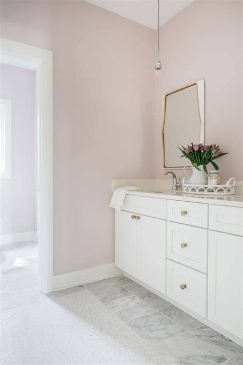 blush pink paint wilko - Latosha Dykes