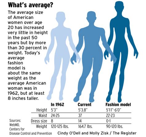 AVERAGE WOMEN'S SIZE IN 2012 | youareyoungdarling