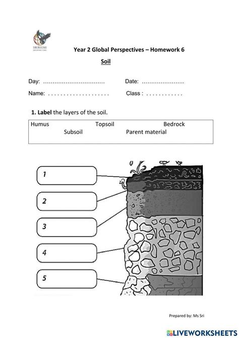 Soil Layers Worksheet