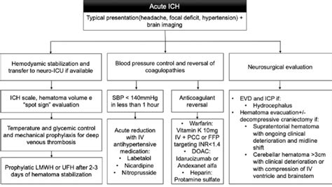 Frontiers Intracranial Hemorrhage Detection In 3D Computed, 49% OFF