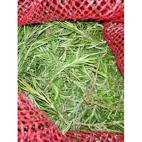 Fresh Rosemary Leaves, Packaging Type: Bag, Packaging Size: 5 Kg at Rs ...