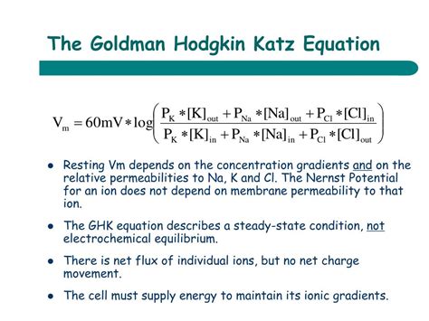 PPT - MCB Review Exam II PowerPoint Presentation, free download - ID ...