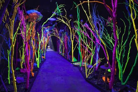 Is Meow Wolf Art? | Vince Kadlubek | art, entertainment & elitism | blooloop