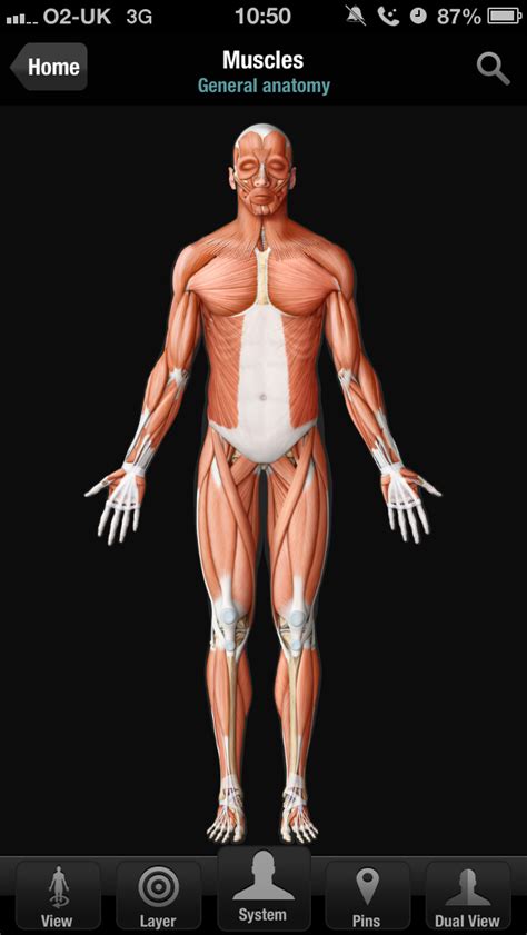 Virtual Human Body iPhone and iPad medical app review