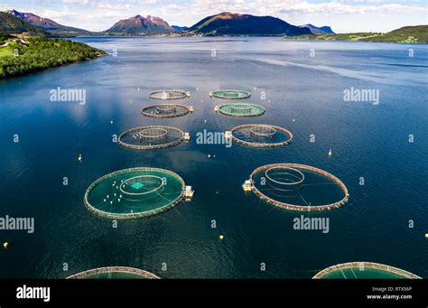 Farm salmon fishing in Norway aerial photography Stock Photo - Alamy