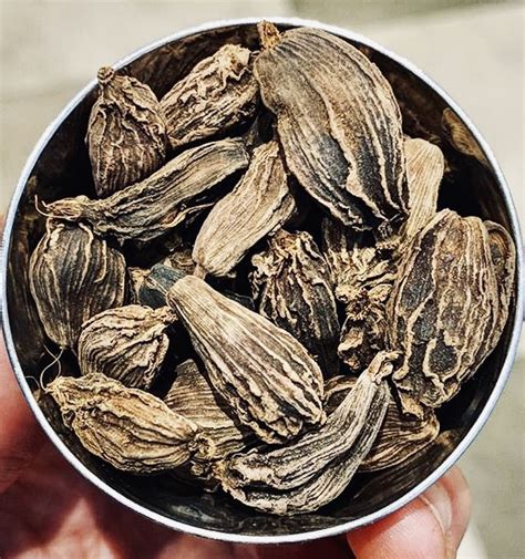 Cardamom Pods, Black - Spice Mountain