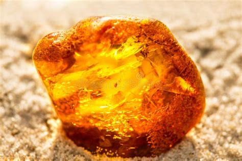 Amber on a Beach of the Baltic Sea Stock Image - Image of orange, translucent: 102739611