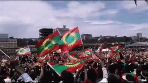 Oromo Oromia GIF – Oromo Oromia Flag – Откриване и споделяне на GIF файлове