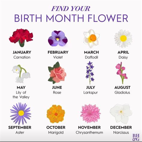 Pin by Lise McDougall on Positive Images | Birth flower tattoos, Birth month flowers, Birth flowers