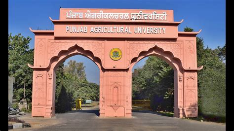 Punjab Agricultural University wins ‘green and clean campus’ award ...