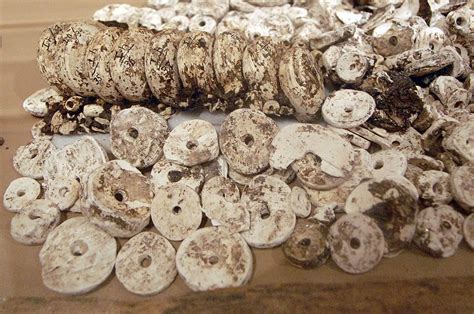 Cahokia in Illinois, US. Shell beads associated with a male burial in Mound 72. A male was ...