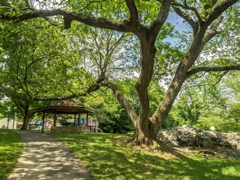 Greenwood Local Park - Montgomery Parks