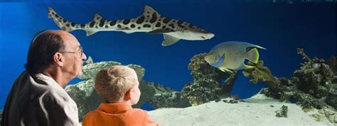 Austin Aquarium Vacation Package - Tickets & Hotel