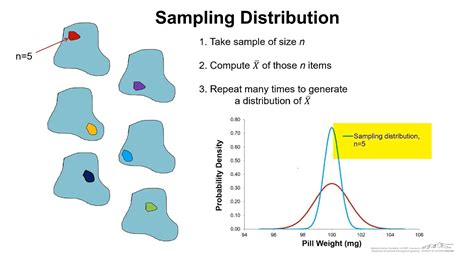 Sampling Distribution vs Population Distribution - YouTube