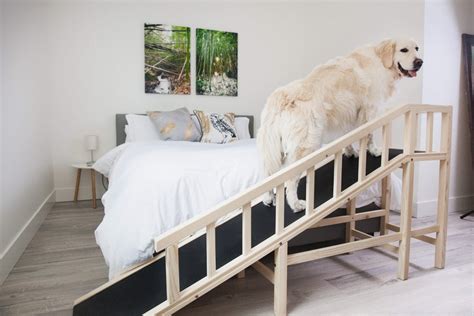 Gentle Rise™ Bed Ramp | Dog Quality