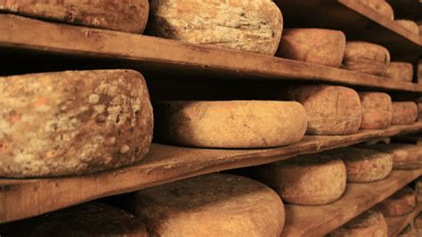 French cheeses: history, production, regions