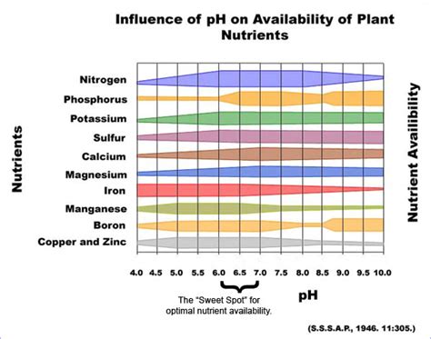 How Soils Work