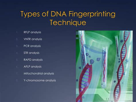 PPT - DNA Fingerprinting PowerPoint Presentation, free download - ID ...