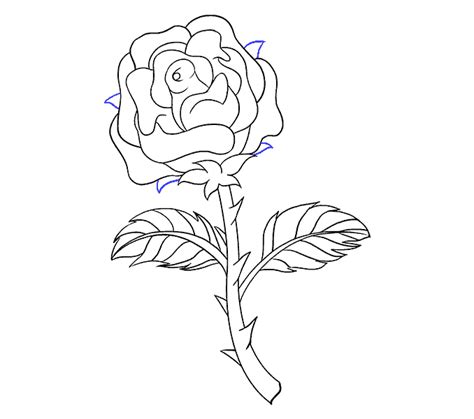 How to Draw a Rose in a Few Easy Steps | Easy Drawing Guides