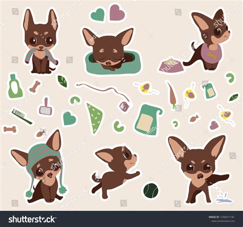 Chihuahua Vector Illustration Set Stickers Six Stock Vector (Royalty ...