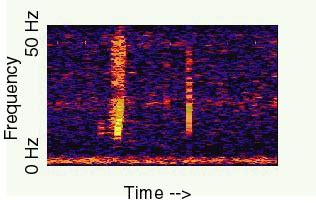 Acoustics Monitoring Program - Icequakes (Bloop)