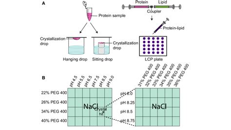 Schematic representation of vapor diffusion crystallization and lipidic ...