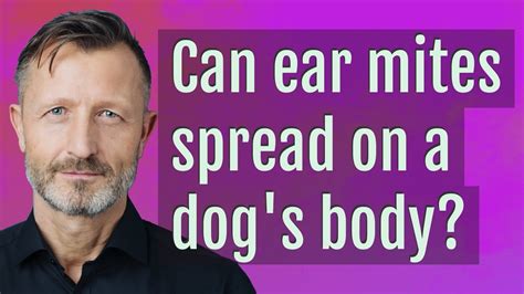 Can ear mites spread on a dog's body? - YouTube