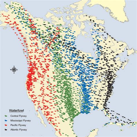 https://flic.kr/p/MGD1bQ | Flyways map | Birds follow migratory routes, called flyways, between ...